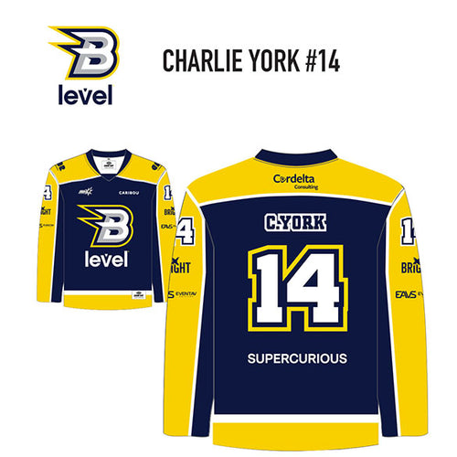CHARLIE YORK #14 - LEVEL